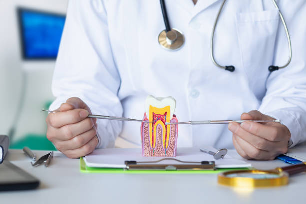Best Same-Day Emergency Dental Services in Merryville, LA